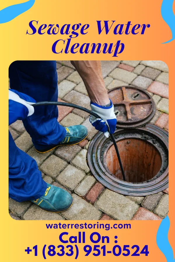 Sewage Water Cleanup in St. Gabriel, LA